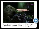Barbie am Bach [2] 2014 (IMG_8179)